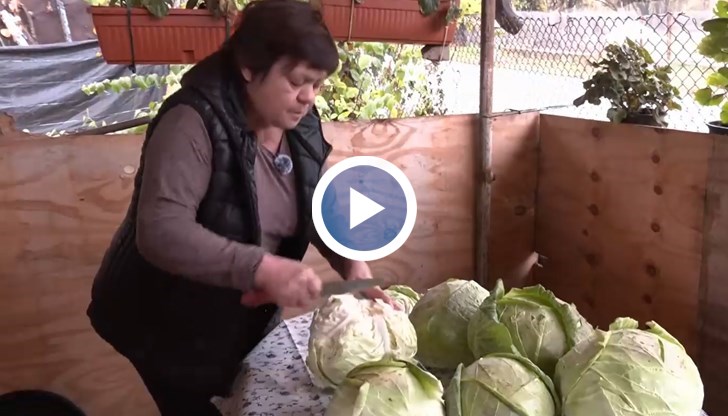 Рецептата на Лиляна Александрова от берковското село Замфирово