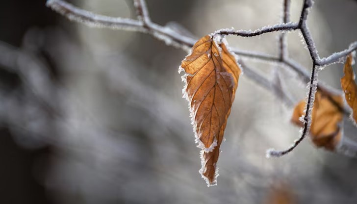 Значителни валежи очакват Източна България в четвъртък