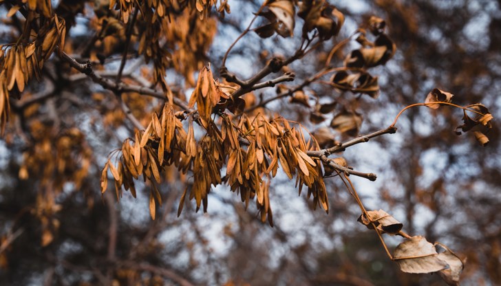 Сезонът традиционно е с условия за мъгливи предиобеди в котловините, низините и покрай водоемите