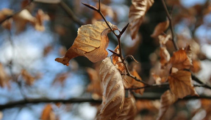 Температурите достигат 22 градуса в Източна България преди рязкото застудяване Температурите достигат 22 градуса в Източна България преди рязкото застудяване