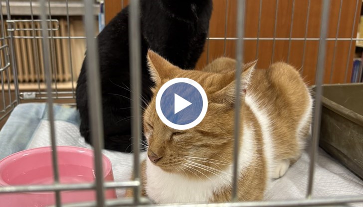 Инициативата ще продължи до 14 ноември в Регионалната библиотека