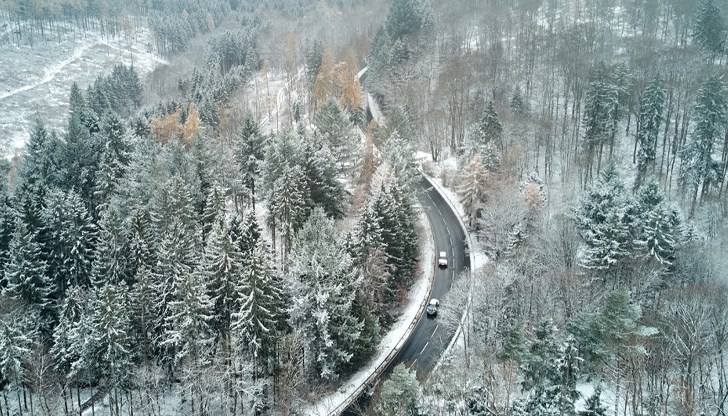 Метеоролози предупреждават за опасност от падащи дървета и черен лед Метеоролози предупреждават за опасност от падащи дървета и черен лед