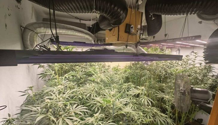 Апартамент в морската столица е превърнат във високотехнологична лаборатория за марихуана