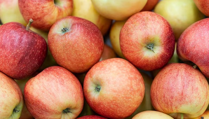 Реколтата от ябълки отбелязва спад от 30% заради лоши метеорологични условия