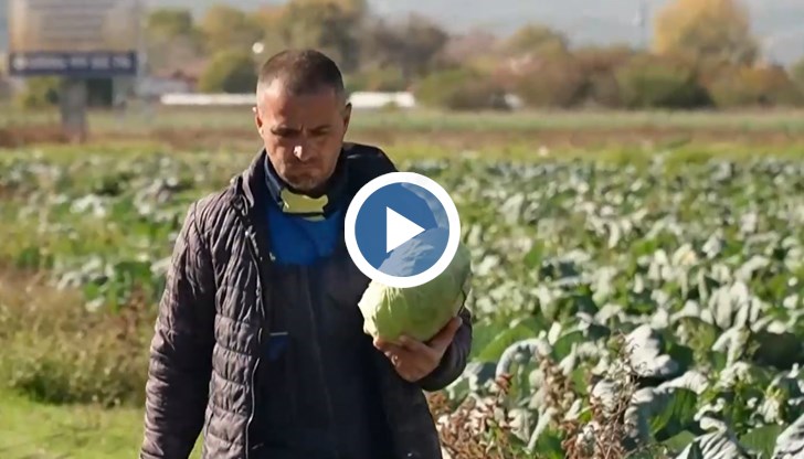 Търговците споделят, че все по-малко хора приготвят зимнина