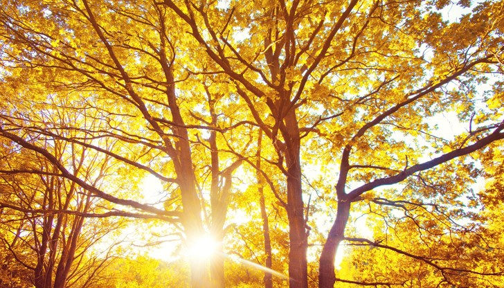 НИМХ отчете температурни аномалии и бедствено положение в Югозападна България заради интензивни валежи НИМХ отчете температурни аномалии и бедствено положение в Югозападна България заради интензивни валежи