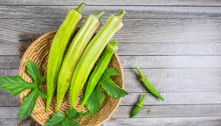 Зеленчукът понижава кръвната захар, укрепва имунитета и подпомага храносмилането Зеленчукът понижава кръвната захар, укрепва имунитета и подпомага храносмилането