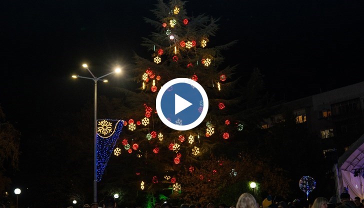 30-метровата секвоя грейна със 160 топки и хиляди светлини, а Дядо Коледа пристигна с полицейска кола