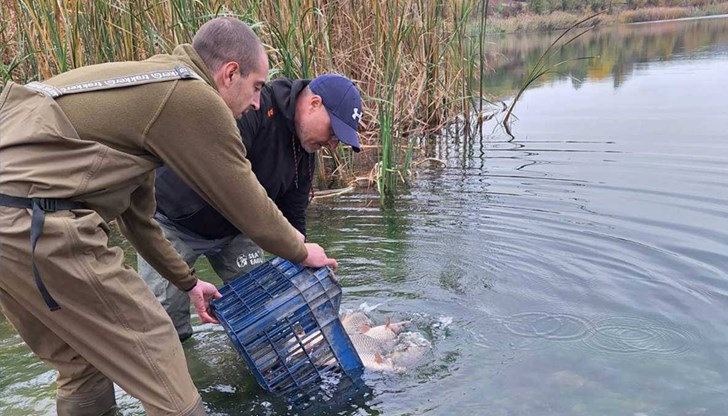 Масирани проверки срещу незаконния риболов във Враца, Монтана и Видин