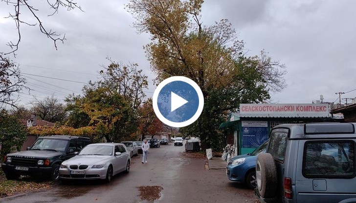 Граждани алармират за опасното дърво над година, но Община Русе не реагира