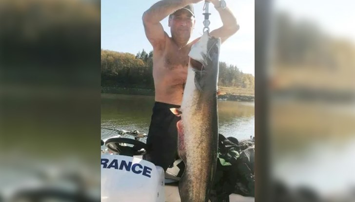 Активност на хищника е регистрирана и на язовирите "Искър", "Огоста" и "Ивайловград"