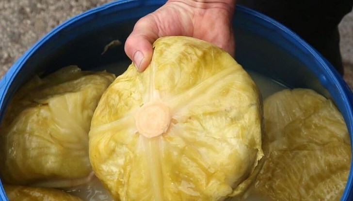 Процесът на ферментация превръща зелето в склад от витамини и пробиотици Процесът на ферментация превръща зелето в склад от витамини и пробиотици