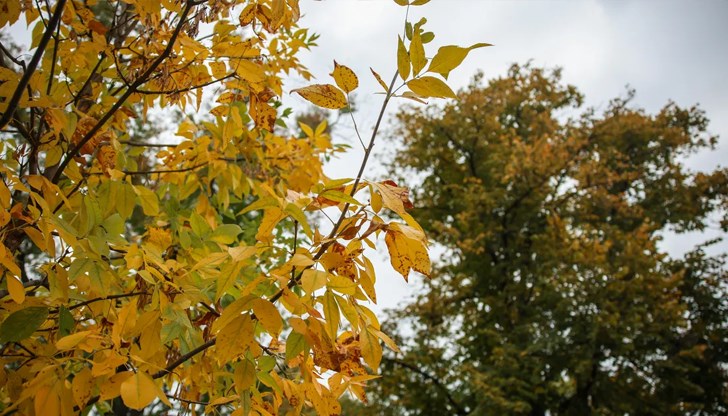 Страната се разделя на две: дъжд на запад и необичайно топло време на изток Страната се разделя на две: дъжд на запад и необичайно топло време на изток