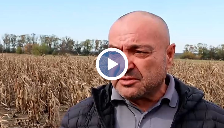 Дори там, където има реколта, тя е под критичния минимум