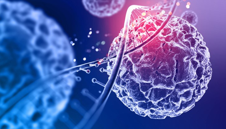 Проучване установи, че тумори растат по-бавно при много стари мишки