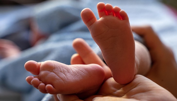 Изследванията за муковисцидоза и гръбначна мускулна атрофия се отлагат за догодина заради липса на бюджет Изследванията за муковисцидоза и гръбначна мускулна атрофия се отлагат за догодина заради липса на бюджет