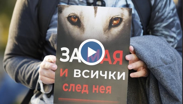 Стотици настояват за ефективна присъда и справедливост за прегазеното куче Мая