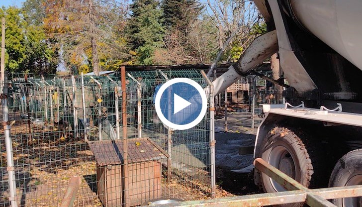 В момента тече и акция за събиране на дарения за храна