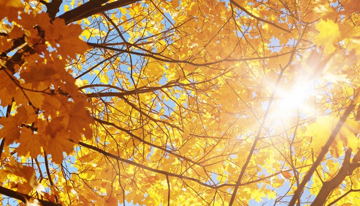 Мъгли ще има сутрин в равнините, дъждът се завръща от понеделник