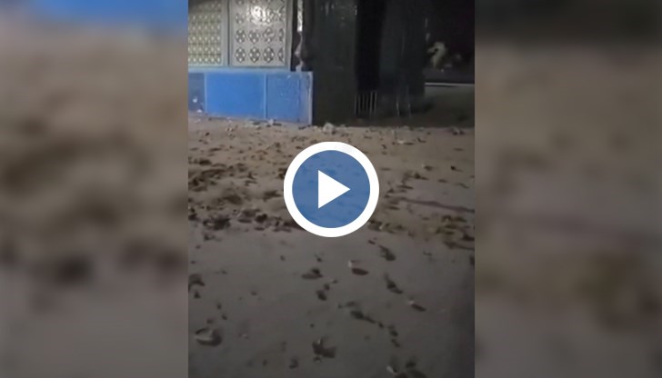 Около 320 души са ранени