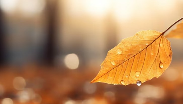 Температурите падат с 10 градуса след топлото начало в понеделник