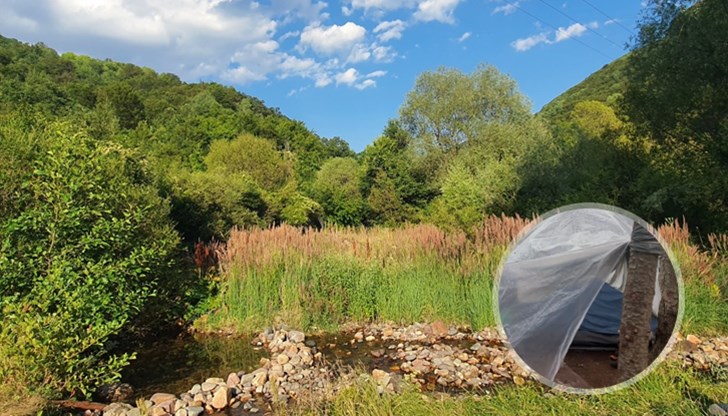 Частен съдебен изпълнител от Русе разкри, че срещу него са били образувани пет производства Частен съдебен изпълнител от Русе разкри, че срещу него са били образувани пет производства