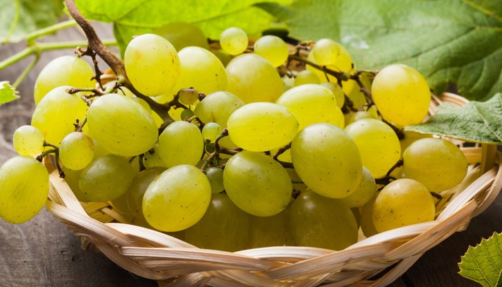 Плодът на лозата забавя стареенето и намалява риска от деменция, съветва специалистът