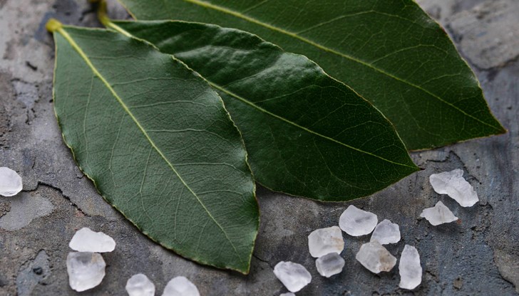 Ароматната подправка е богата на витамини А, C и B6, желязо и манган Ароматната подправка е богата на витамини А, C и B6, желязо и манган