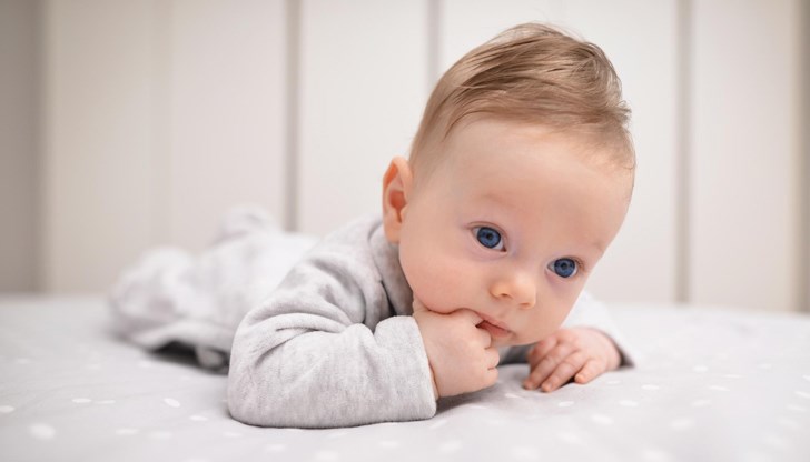 Лекари и адвокати са ръководили престъпната мрежа с печалба над 8 милиона евро Лекари и адвокати са ръководили престъпната мрежа с печалба над 8 милиона евро