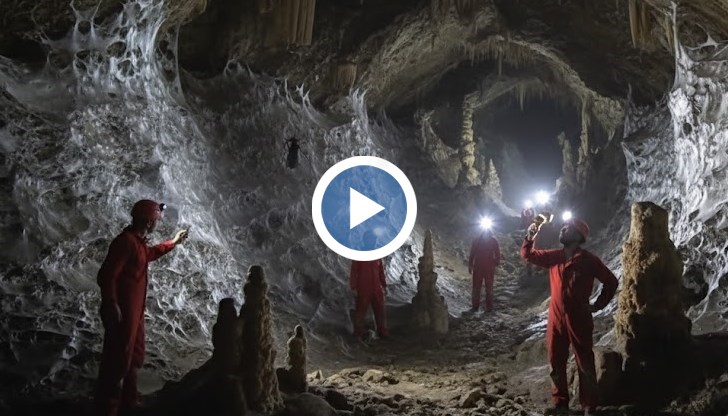 Уникално откритие в пещера на границата между Гърция и Албания разкрива социално поведение сред паяците