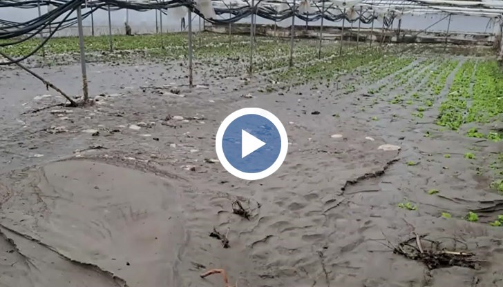 Поройните дъждове унищожиха оранжериите с марули и домати