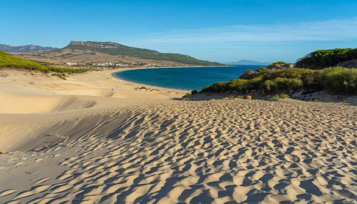 Климатичните промени и урбанизацията са основните причини, предупреди учен Климатичните промени и урбанизацията са основните причини, предупреди учен