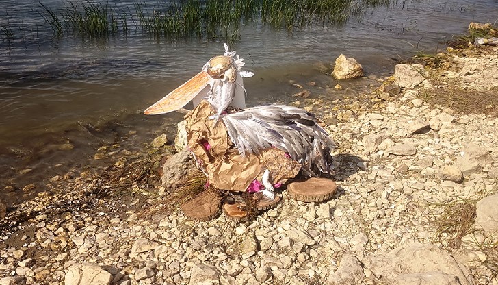 Къдроглавият пеликан "Русчук Сребрйски" представя България на международната сцена