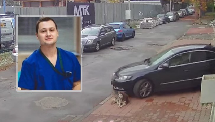 ВМА отстрани от работа лекаря, прегазил кучето Мая в София