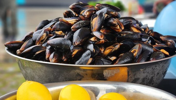"Вкусът на морето" събира любители на рибата във Варна, Бургас и София