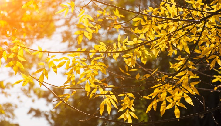 Облачността над Североизточна България ще намалее още преди обяд Облачността над Североизточна България ще намалее още преди обяд