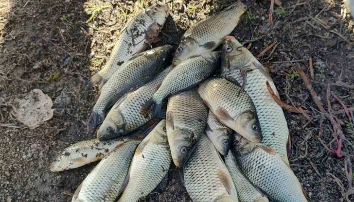 Някои от нарушителите ловили и без риболовни билети