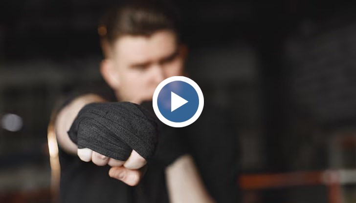 Николай Добруджански и Никола Дипчиков срещу президента Станислав Недков