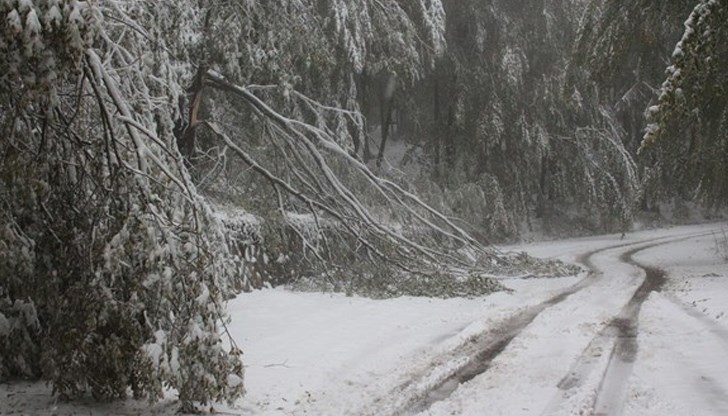 Към момента температурата в курорта е минус 2 градуса