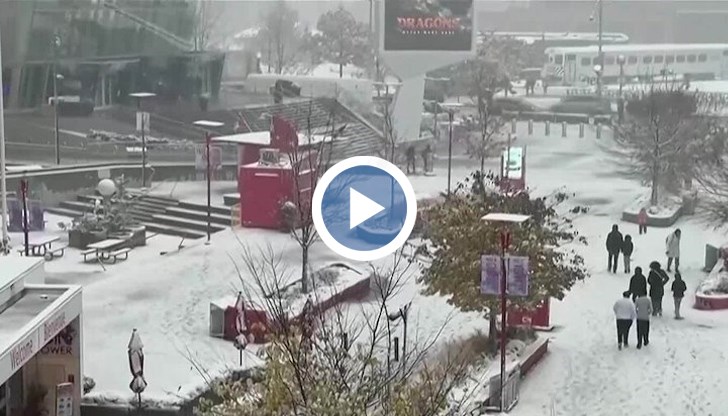 Канадският град се събуди с бяла покривка