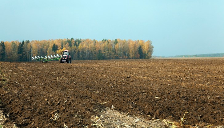 Средният наем в Русенско достигна 72 лева за декар