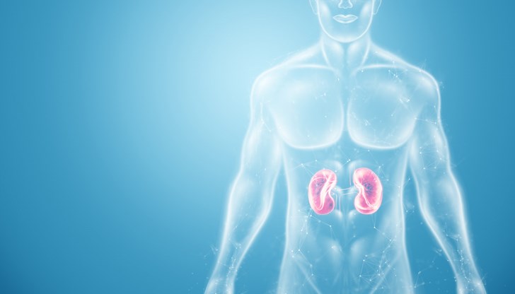 Задържането на урина и пиенето на кафе преди вода са сред най-опасните практики Задържането на урина и пиенето на кафе преди вода са сред най-опасните практики