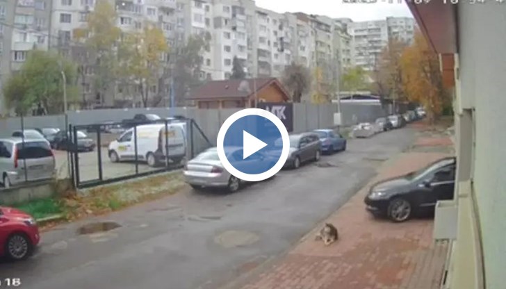 Мъжът не се крие и признава за случилото се, твърди, че е неволна маневра