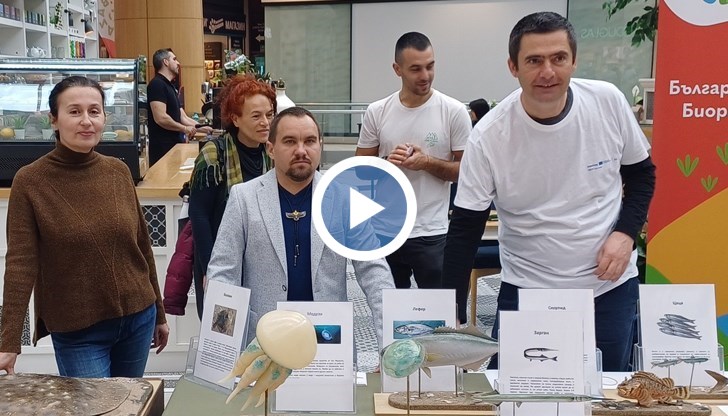 Центърът в Стара Загора лекува хиляди животни годишно