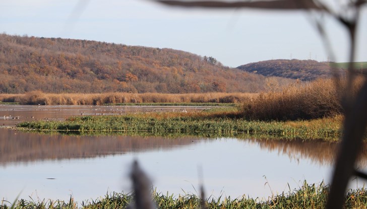 Община Силистра ще организира нов конкурс за графична идентичност на защитената територия
