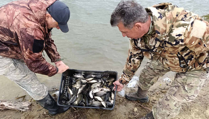 ИАРА пусна риба и в реките Росица, Янтра и Стара