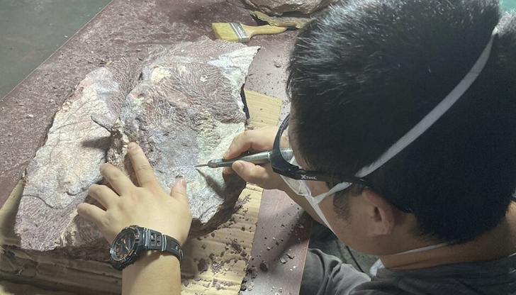 Изкуствен интелект откри живот на 3,3 милиарда годиниУчени откриха доказателства