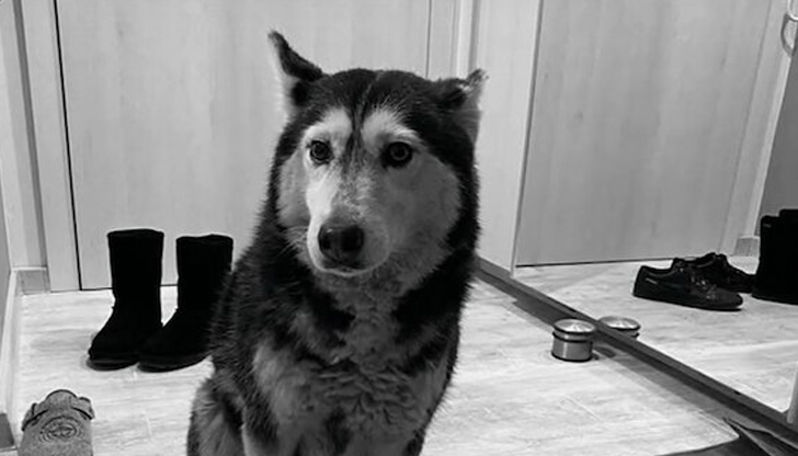 Живущи в София се събраха на протест срещу жестокосттаОгромно обществено