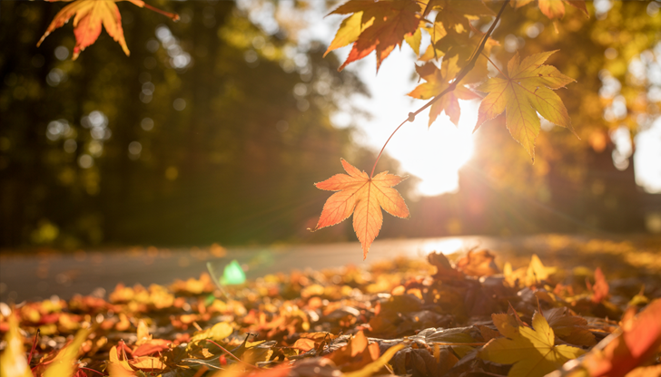 Студен фронт и валежи идват в понеделник, след това време