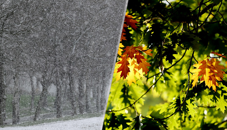Времето разделя Балканите - зима на запад, пролетни температури до
